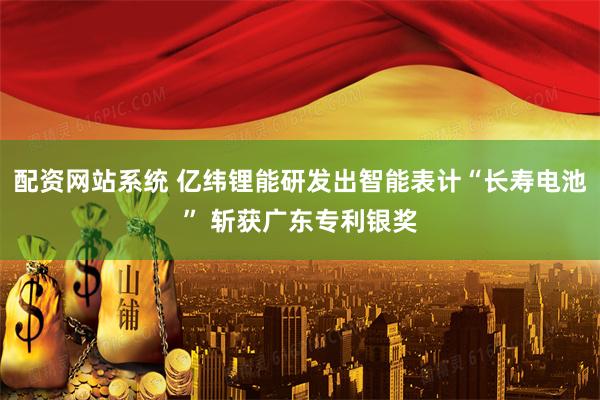 配资网站系统 亿纬锂能研发出智能表计“长寿电池” 斩获广东专利银奖