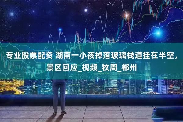专业股票配资 湖南一小孩掉落玻璃栈道挂在半空，景区回应_视频_牧周_郴州
